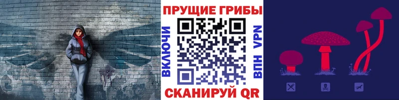 Псилоцибиновые грибы ЛСД  продажа наркотиков  Славск 