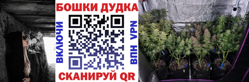 закладки  Славск  Бошки Шишки THC 21% 